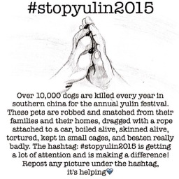 #StopYulin2015